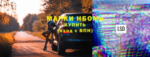 крисы Абаза