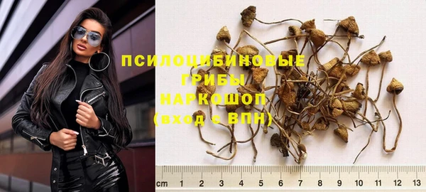 крисы Абаза
