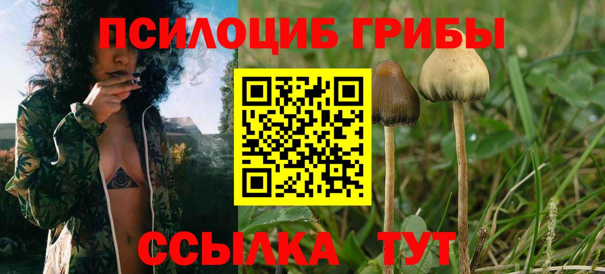 Псилоцибиновые грибы ЛСД  Вход с VPN  Галлюциногенные грибы GOLDEN TEACHER  Канск 
